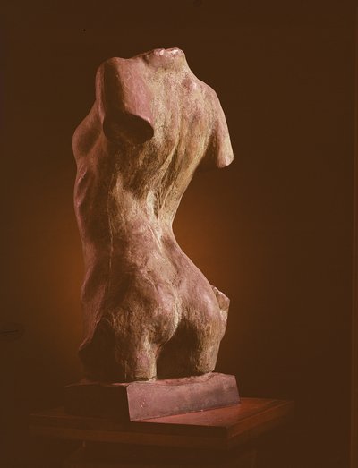 Torso einer jungen Frau, 1909 von Auguste Rodin